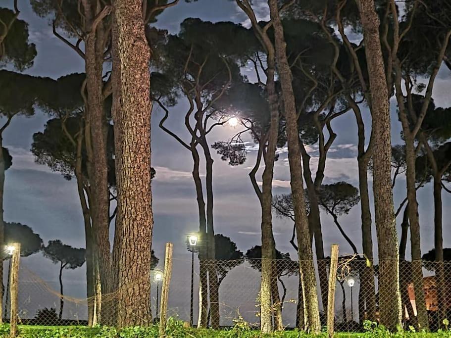 فيلا La Casa Della Pineta روما المظهر الخارجي الصورة